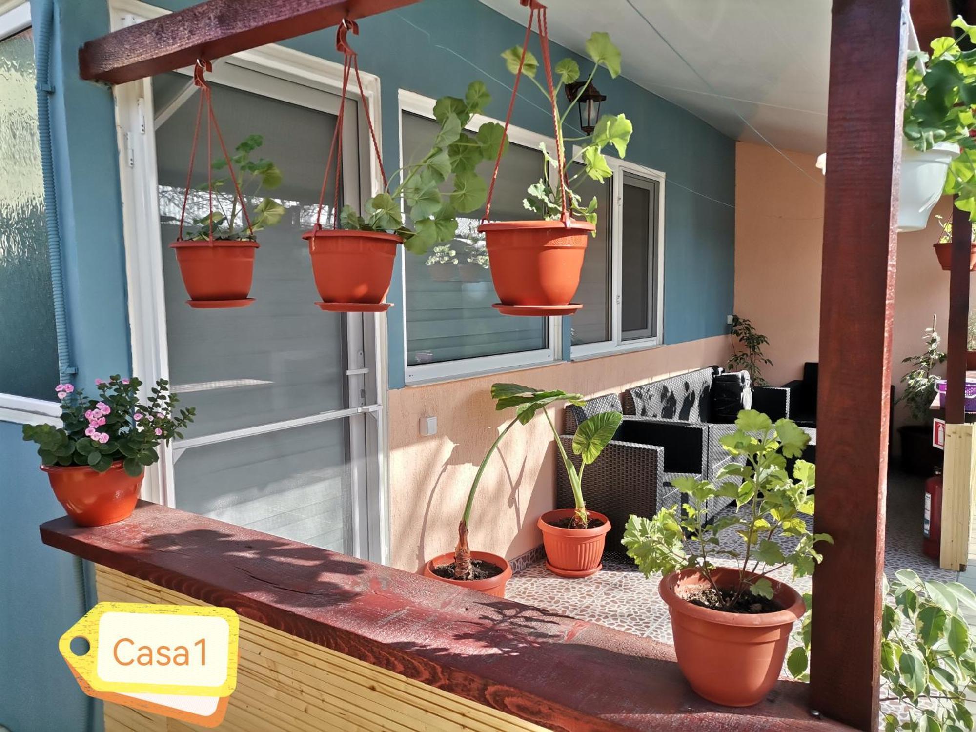 Casa Dasoveanu Σουλινάς Εξωτερικό φωτογραφία